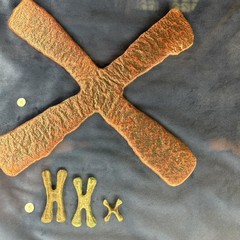 Bari: Mostra “La forma e la fiducia - Monete dal territorio, monete dal mondo”