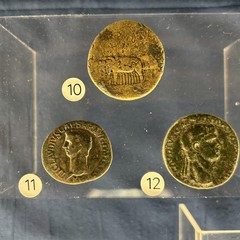 Bari: Mostra “La forma e la fiducia - Monete dal territorio, monete dal mondo”