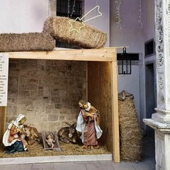 Natività 2024 Vescovado Andria