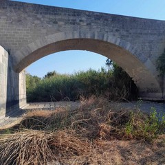 Canosa: Il fiume Ofanto in secca