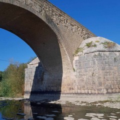 Canosa: Il fiume Ofanto in secca