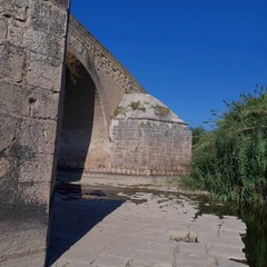 Canosa: Il fiume Ofanto in secca