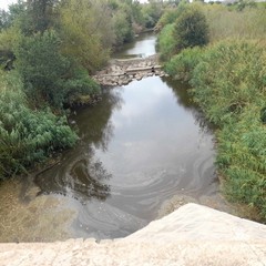 Il Fiume Ofanto è diventato un fiume di pozzanghere