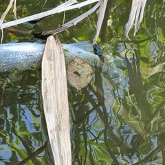 Il Fiume Ofanto è diventato un fiume di pozzanghere