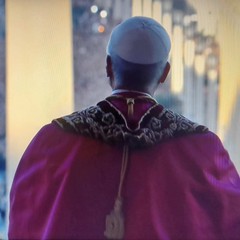 Il cardinale americano Robert Francis Prevost è il nuovo Papa