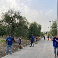 Canosa: Ripulite le strade della Cultura