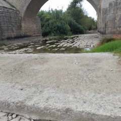 Il Fiume Ofanto in secca