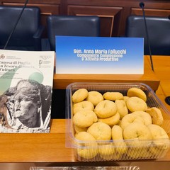 Senato :I PAT un'eredità culturale, volano strategico per lo sviluppo economico e turistico dei territori