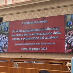 Senato:I PAT un'eredità culturale, volano strategico per lo sviluppo economico e turistico dei territori