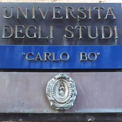 Università  Urbino