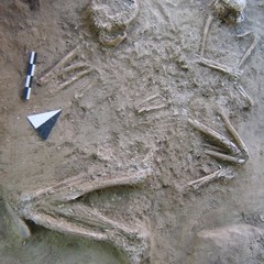 Tomba dell'eneolitico a Canosa