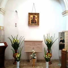 Canosa Cattedrale S.Sabino Tomba del Venerabile Padre Antonio Maria Losito