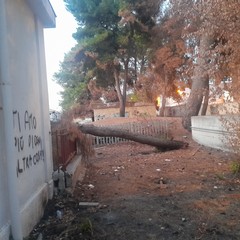 Vandalizzata la stazione ferroviaria di Canosa di Puglia
