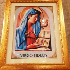Il culto della "Virgo Fidelis"