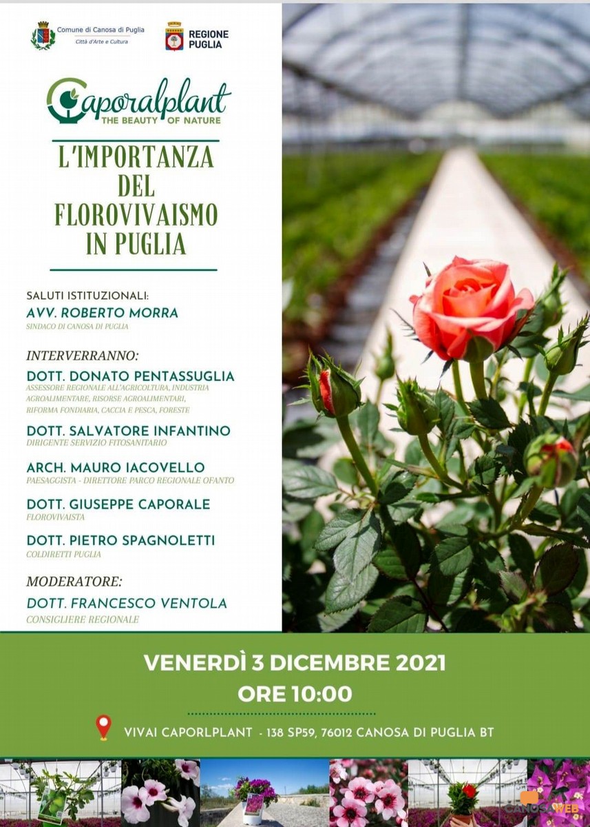 L’importanza del Florovivaismo in Puglia - Canosa- CAPORALPLANT