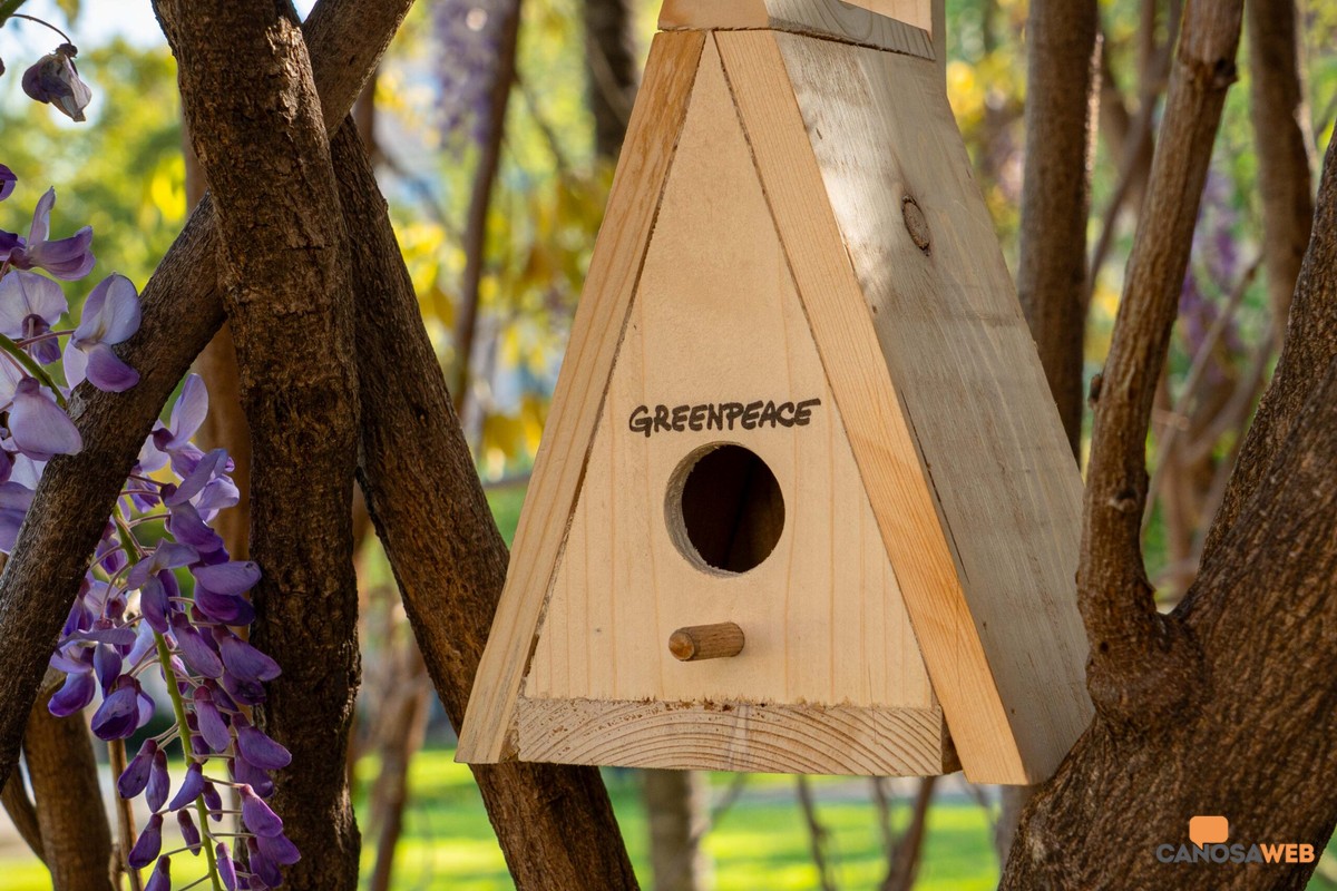 Casetta Uccelli-natura