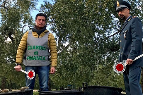 Guardia di Finanza Furti Olive