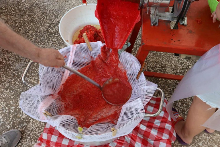 Festa della Salsa