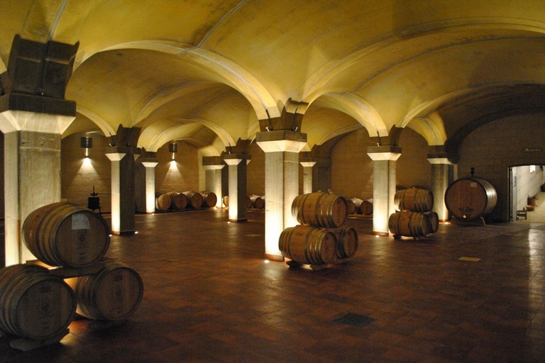 Minervino Murge Cantina Tor de Falchi