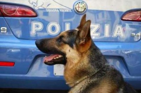 Polizia Unità Cinofile