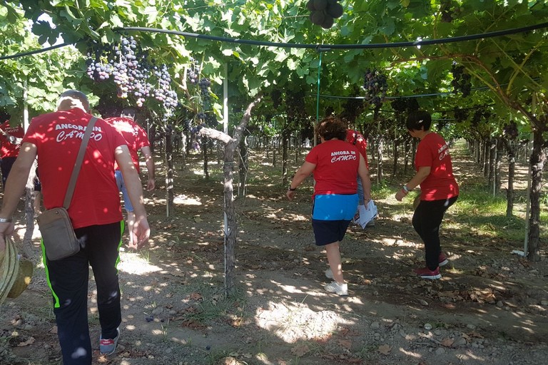 Caporalato Vendemmia agricoltori