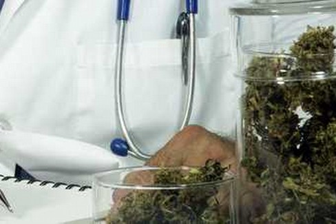 Cannabis ad uso medico