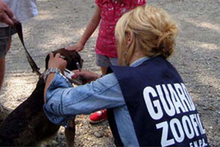 Guardia Zoofila