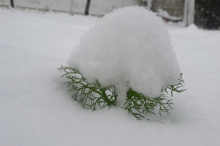 Puglia  Nevicata 27/02/2018