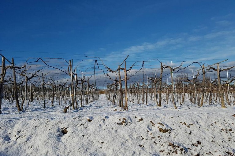 Canosa Nevicata  5 gennaio 2019