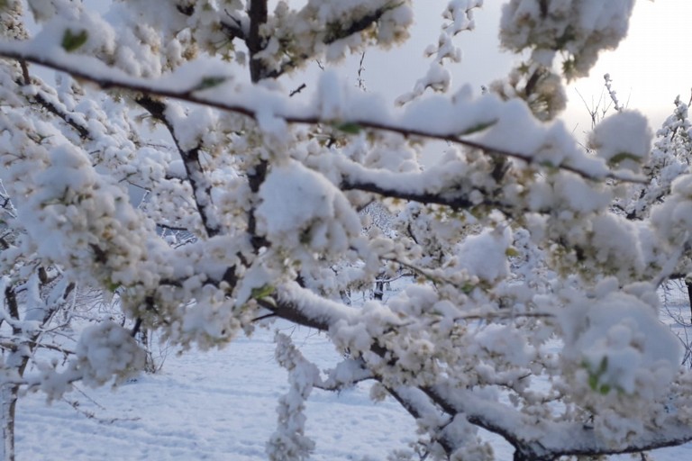 2020 Puglia Nevicata