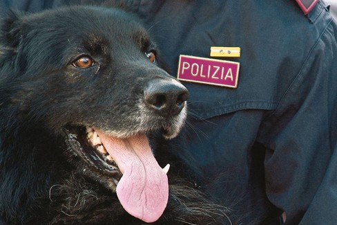 Polizia di Stato  Cinofili