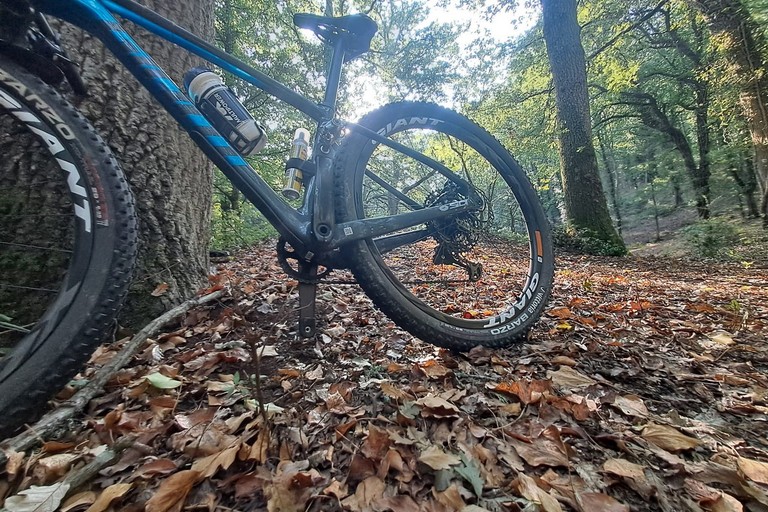 MTB