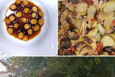 il coniglio della Festa di San Sabino-  Scescelèdde - gelso