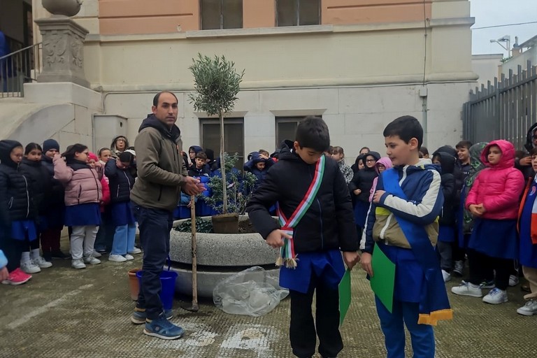 Ulivo-Scuola Mazzini