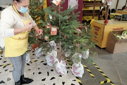 Abeti Alberi di Natale