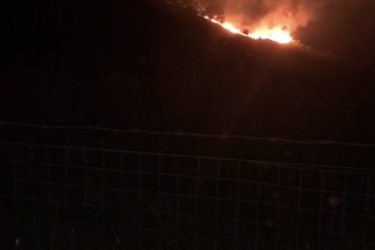 Incendi  Bosco Difesa Grande di Gravina