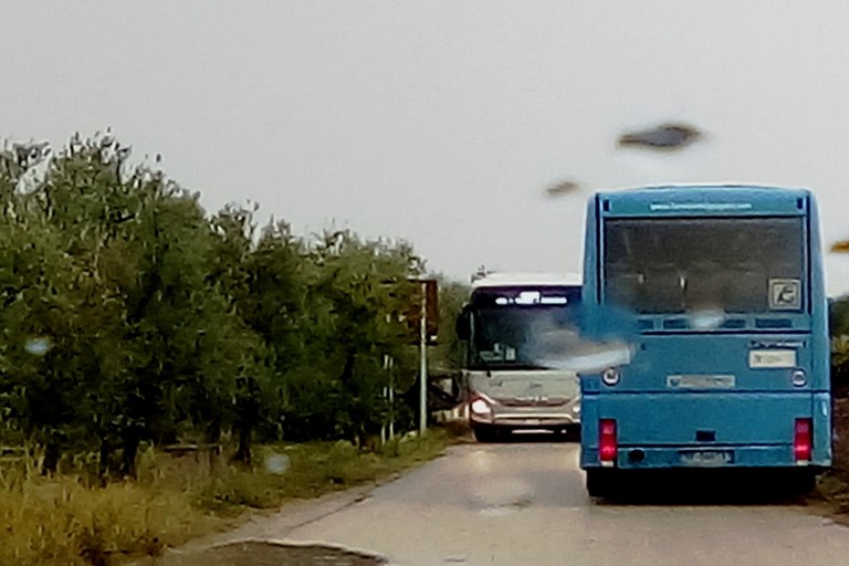 Canosa-Andria tratta viaria autobus