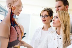 Borsa di Studio in Medicina dalle "Terme di Margherita di Savoia"