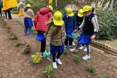 Giardini e orti didattici all’interno delle scuole pugliesi