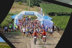 Storia, Sport e Solidarietà a Canne della Battaglia. Vent’anni di vita vissuta fra ricordi e testimonianze