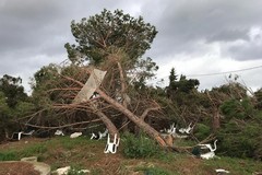 Maltempo: raffiche di vento e temperature in calo