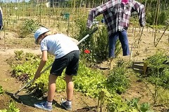 Puglia: I giovani agricoltori trainano l’innovazione in campagna