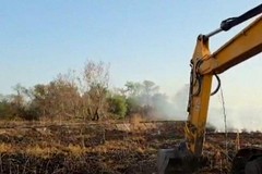 Canosa : E' sotto sequestro l'area dei focolai  in località Pozzillo