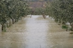 Il rischio idrogeologico in Puglia