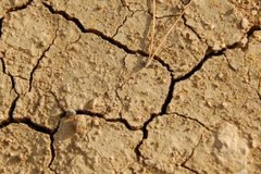 La siccità rappresenta l’evento climatico avverso più rilevante per l’agricoltura