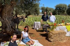 L’agriturismo in Puglia è leader nel turismo green