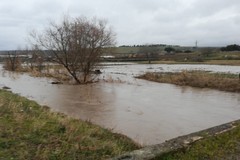 Maltempo:Campi allagati e smottamenti sulla Murgia