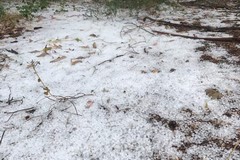 Maltempo: primavera natalizia in campagna