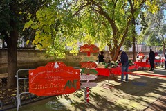 Tutto pronto per la quarta Edizione di "Christmas for ANT”