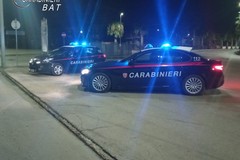 Ruba un’autovettura, arrestato in flagranza dai Carabinieri di Trani